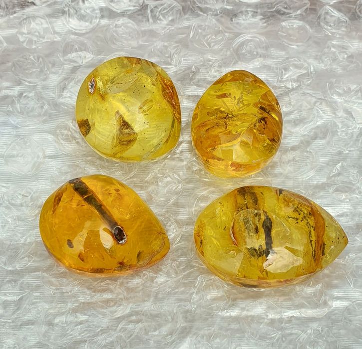 Уникални Балтийски кехлибари с отлично съхранени фосили