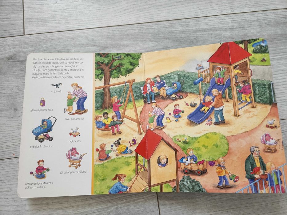 Carte Cauta si gaseste editura Casa