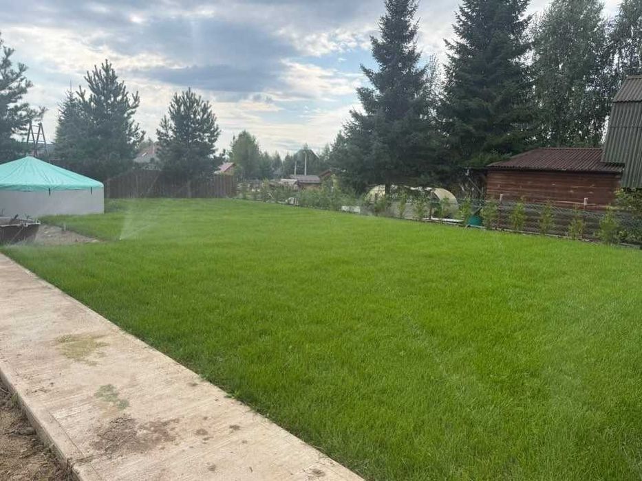 Купить газон в Алматы — рулонный газон с питомника