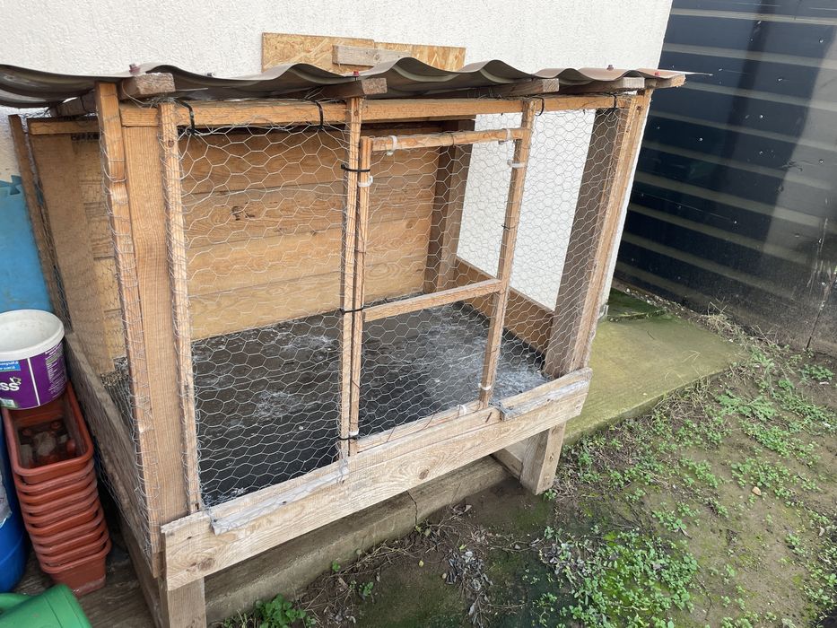 Vand cusca de iepuri