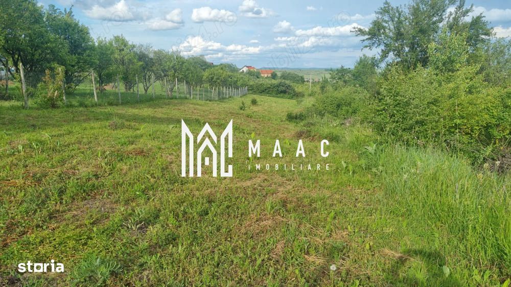 Teren intravilan de vânzare Daia Nouă | 1000 mp | Ideal pentru constru