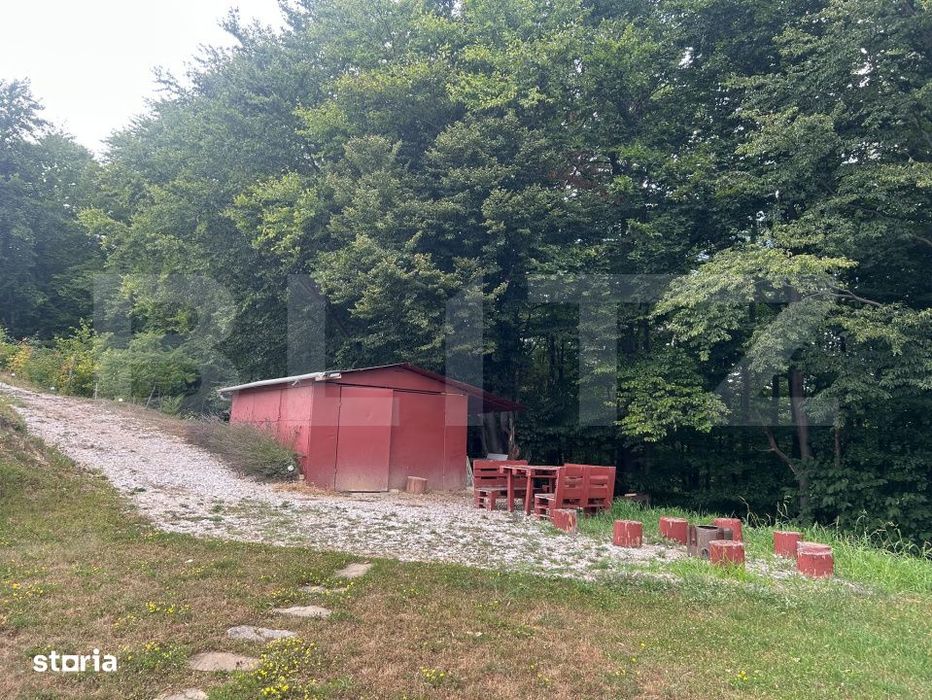 Cabana din busteni - refugiu ideal in mijlocul naturii