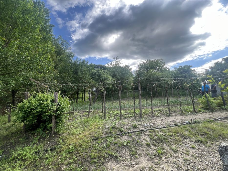 casa de vanzare in apropiere de valeni de munte