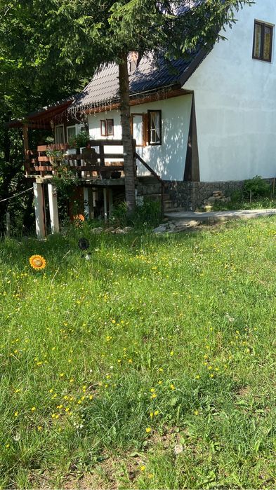 Inchiriere cabana la munte