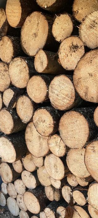 lemne de foc la preț convenabil