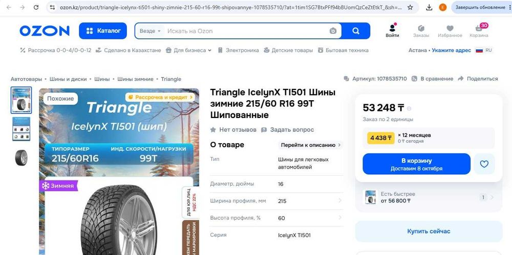 Triangle 215/65 R16 99T с шипами