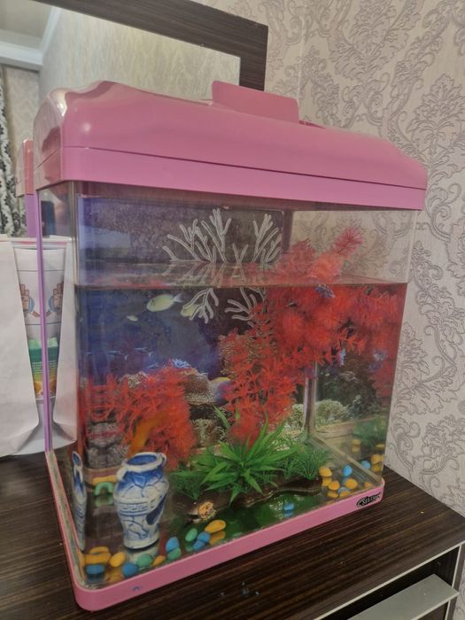 Аквариум балықпен барін бірге