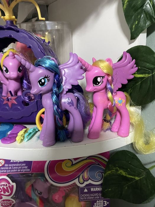 My little pony,Пони