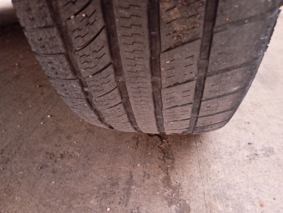 15 diska balon obmen 14 ga