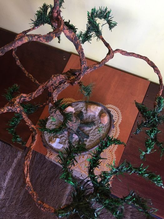 Бонсай, бонзай, bonsai, мини дърво декоративно