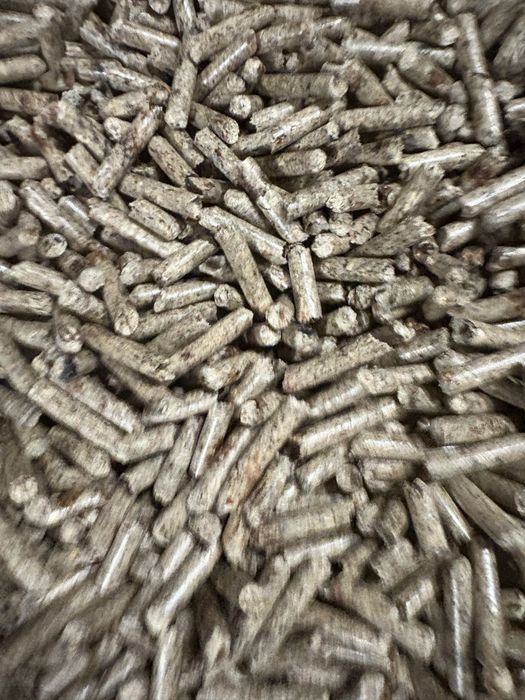 Иглолистни пелети