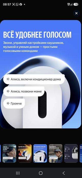 Алиса  нови 42000 т