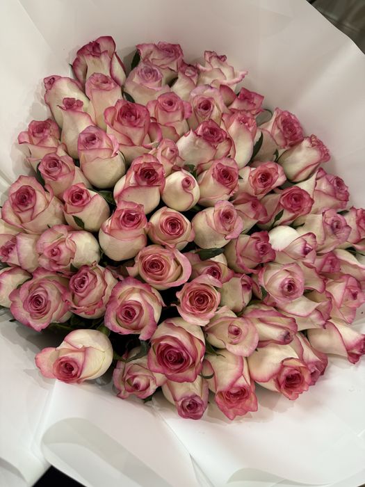 Продам свежие розы!