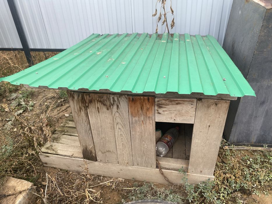 Будка для собак