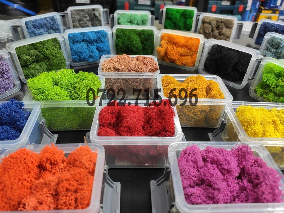 Licheni vrac  pret importator direct