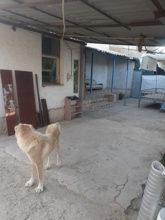 Двухэтажный коттедж