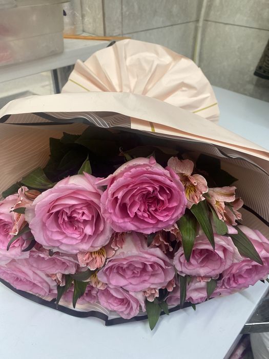 2бума гул  бугинги солмаган жаксыыы