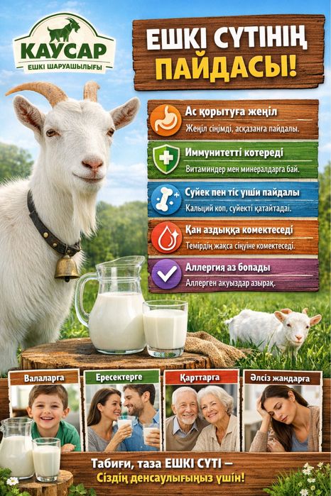 Ешкі сүті. Козье молоко. Дәмді ешкі сүті