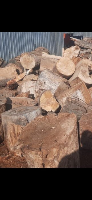 Продам дрова разные пород деревьев