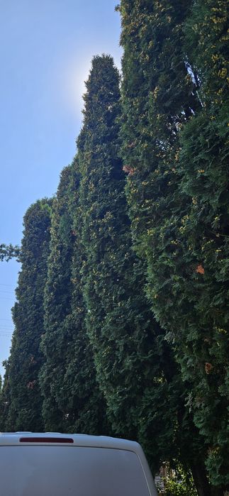 Casă de vănzare in Reghin