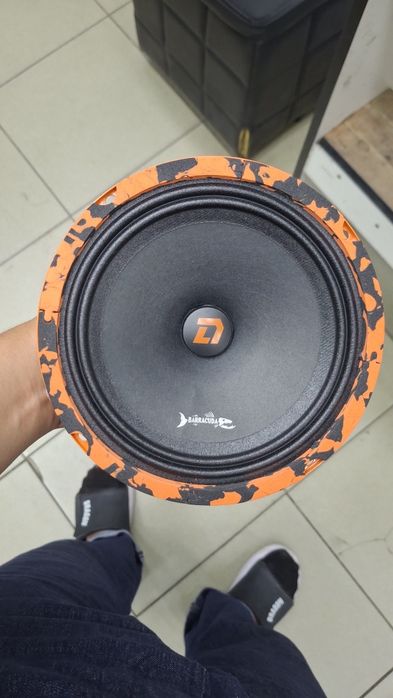 Dl Audio Barracuda
