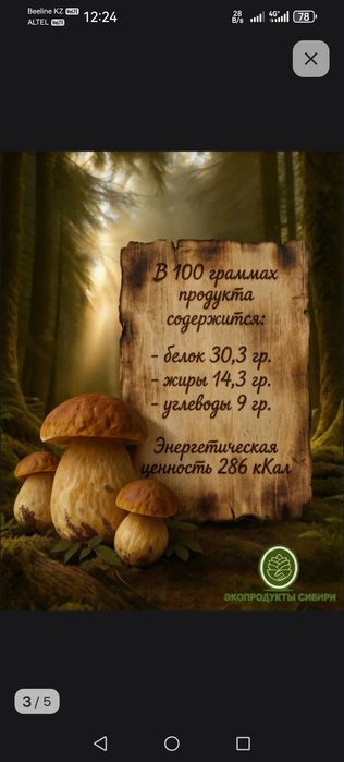 Сушёные белые грибы