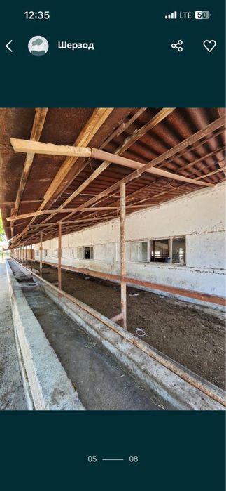 Продаю ферму в Кибрае