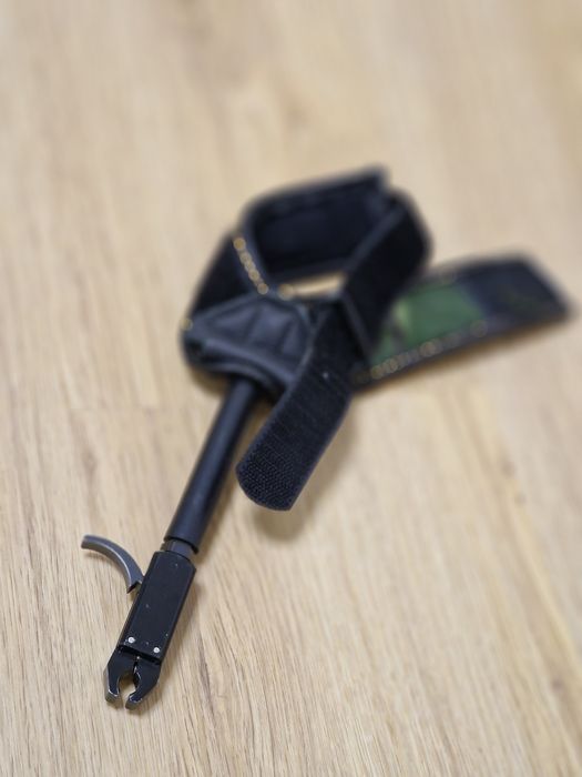 Arc Compound Bear Encounter