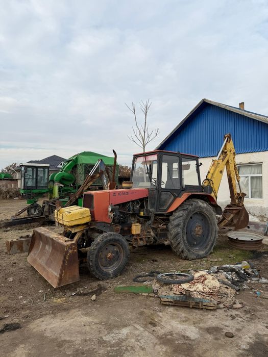 Юмз борекс  2008 жылгы