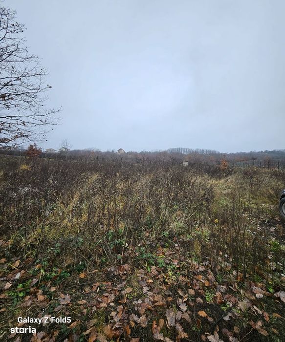Teren 2500mp de vânzare, Saldabagiu de Munte