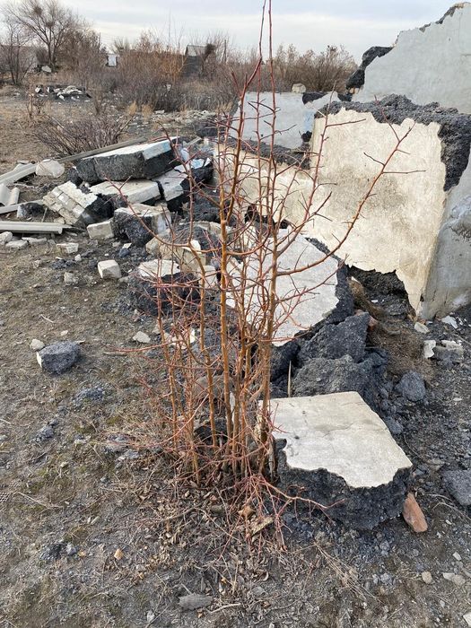 Продам участок поселок Мурат 1 2