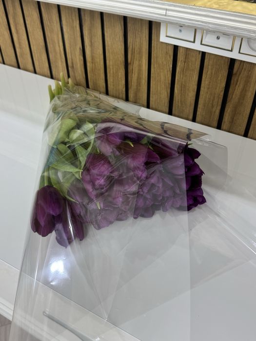 Тюльпан фиолетовые