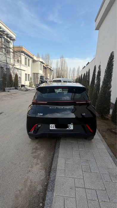 Seagull сотилади