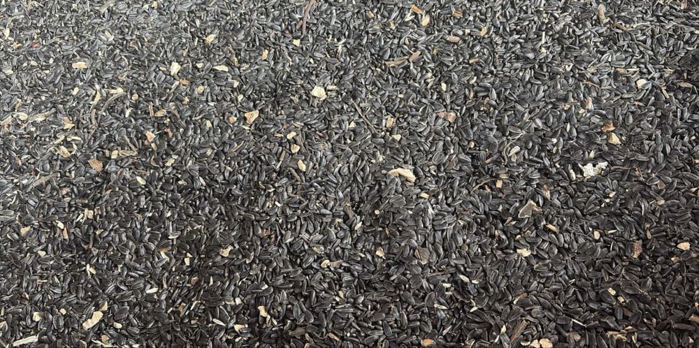 Vand floarea-soarelui