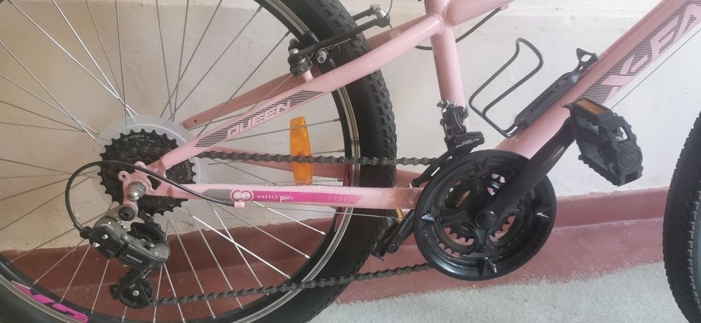 Bicicleta copii queen