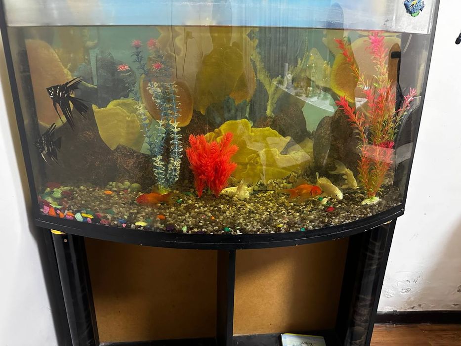 Аквариум 100 литров akvarium