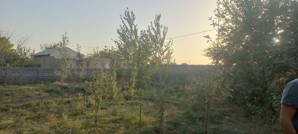 Дача сотилали 8 ст