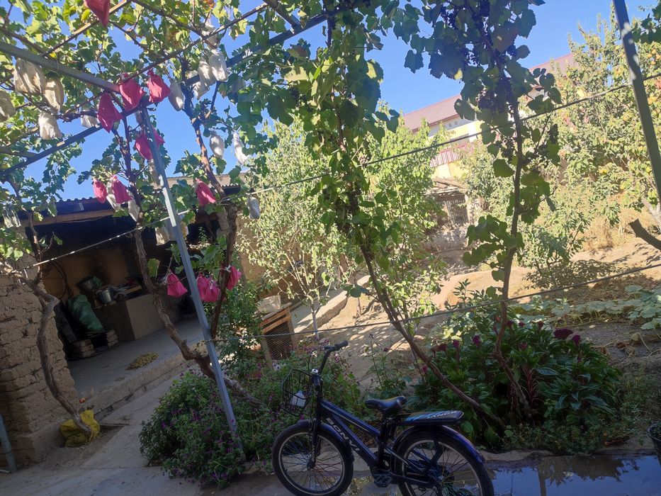 Дустлик коттедж 2014