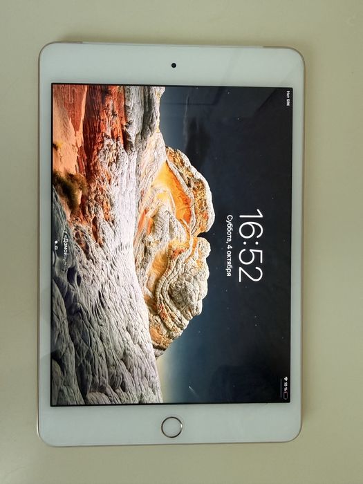 IPad mini 4 поколения
