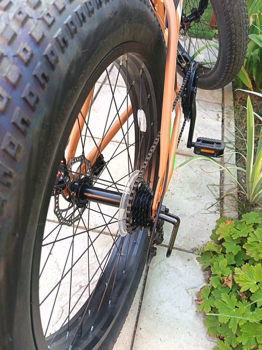 Bicicletă velors