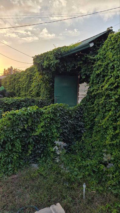 Дом 23 сотки в  пос. Балыкчи (Юкоричирчикский р-н)