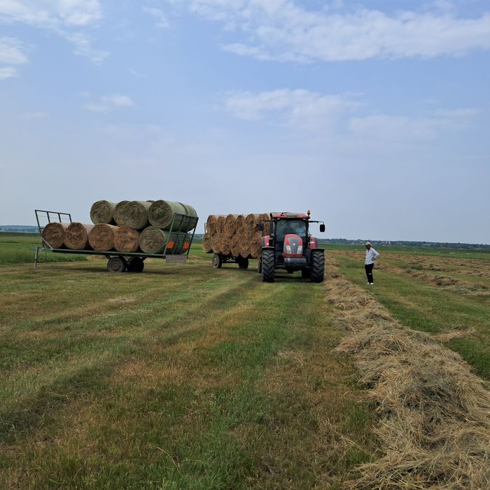 Baloti de fân rotunzi 120×120