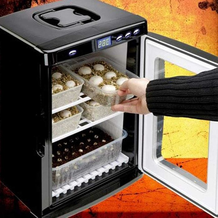 Инкубаторий для рептилий