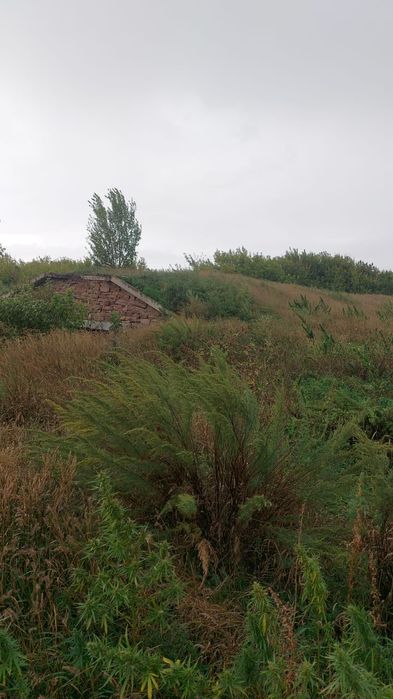 Продам овоще хранилище