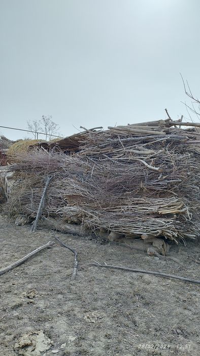 O'tin chot va boshqalar