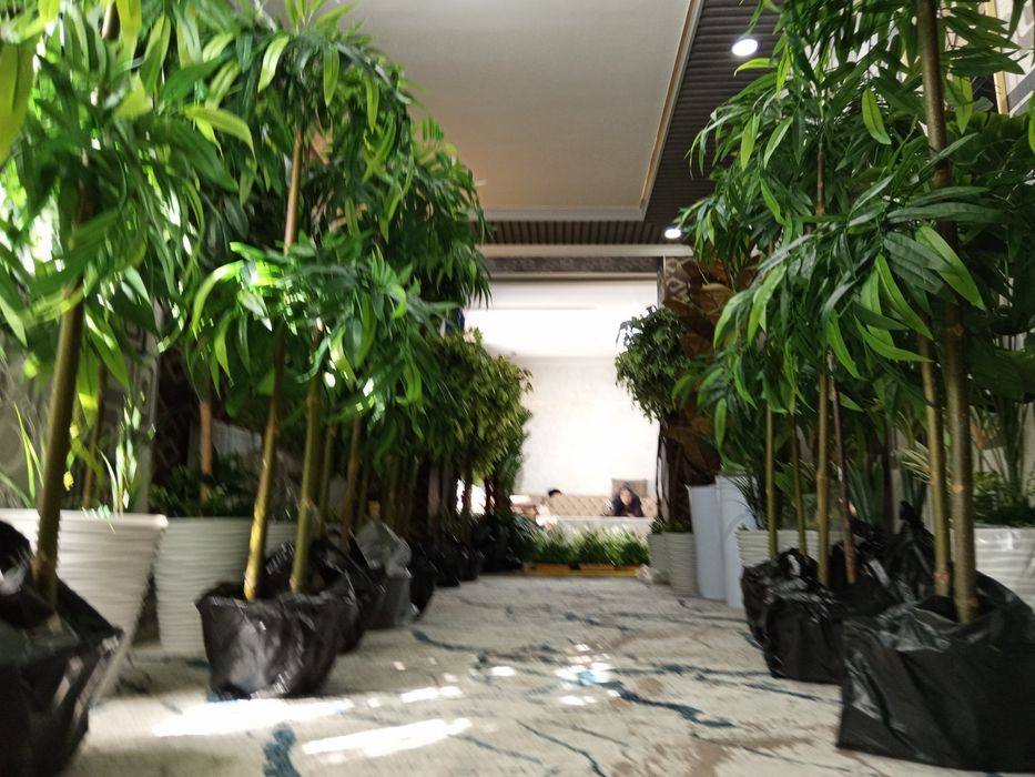 Суний гуллар. Суний дарахтлар. Искусственные дерево. Искусственные цве