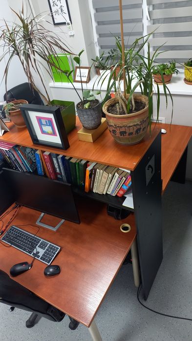 Офисный стол со шкафом