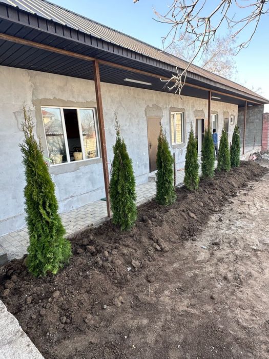 Навоз перегной с доставкой