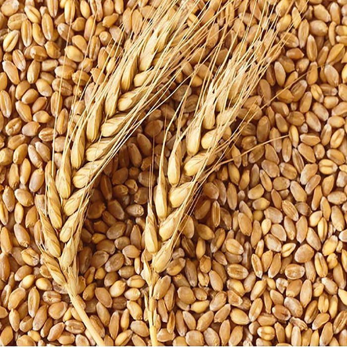 Продам зерно с собственного хозяйство