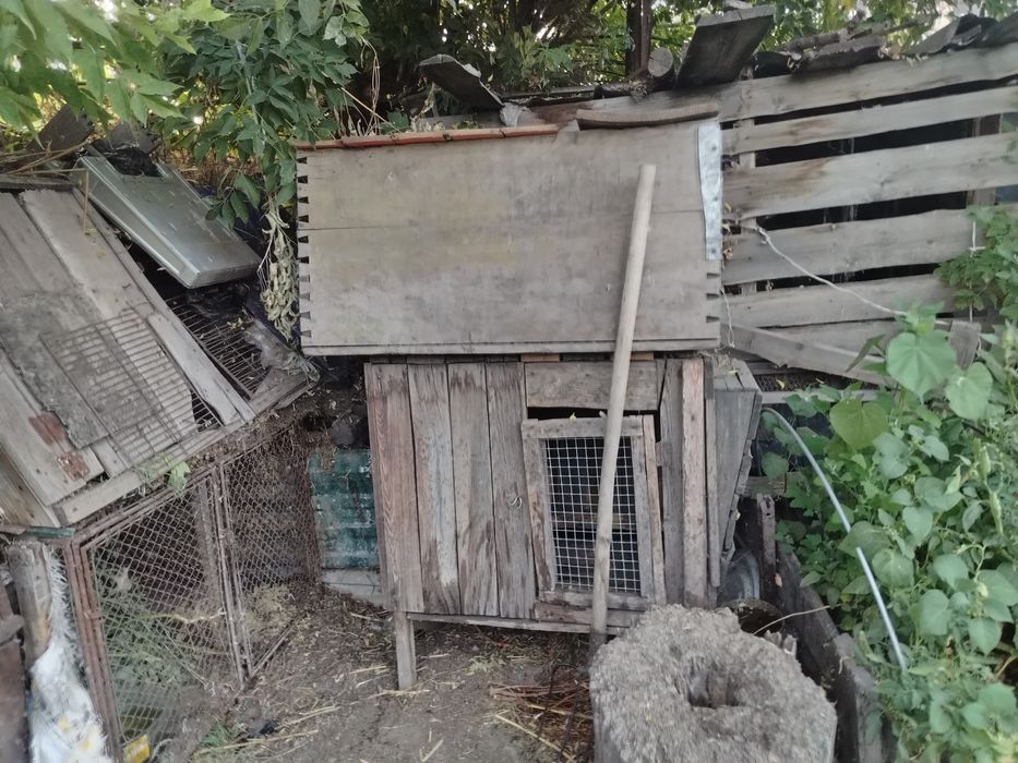 Продам мини ферму кроликов